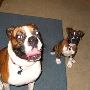 We're waiting.. Throw it already!