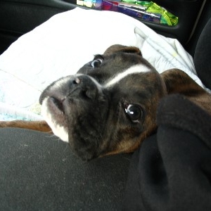 Are we there yet mom?