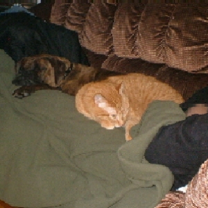 bestfriends