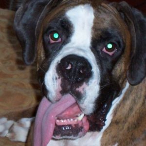 Whatta face!