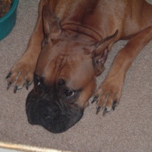 Sad Sophie