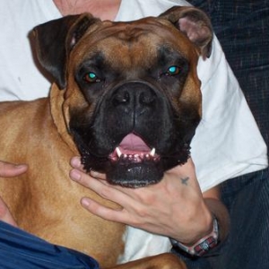 Pearly Whites