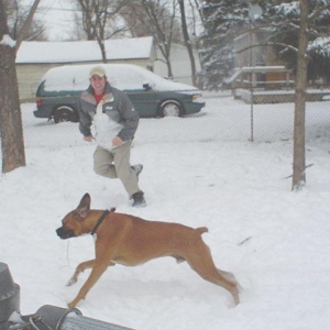 Boxer Burn!