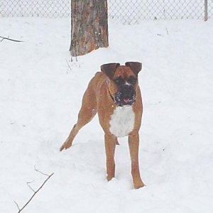snow_play8