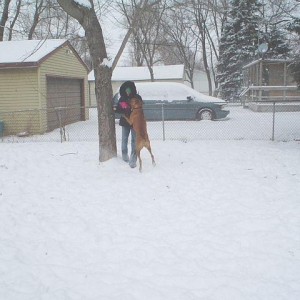 Get this boxer off of me!