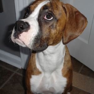 copper