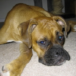 Stars cute face