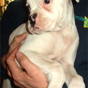 Here's our new soon to be baby!