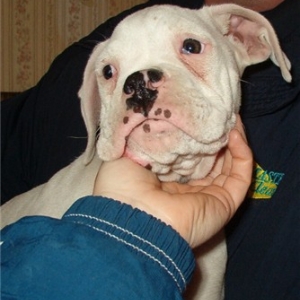 Look at those sad eyes!