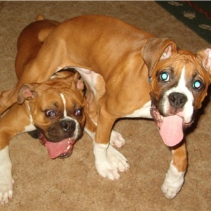 Shelby and her cousin Rocky