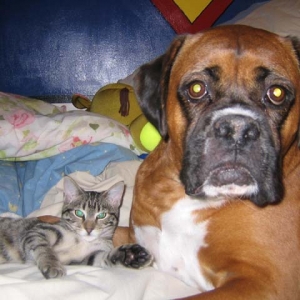Mia & Dukes