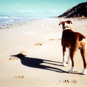 Just me and my shadow.