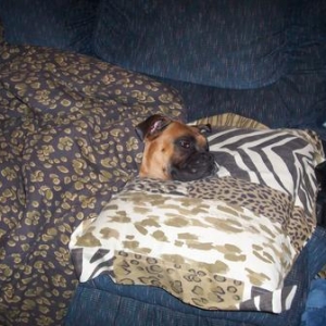 Spoiled Rotten