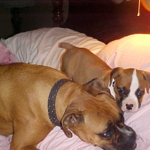Big sister/Little brother