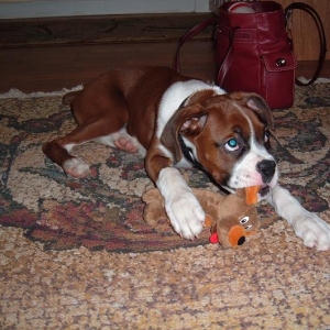 What? I'm just nibbling!