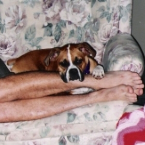 Abby_sleeping_with_Mark