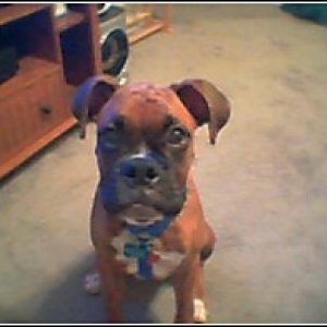 I'm so cute!