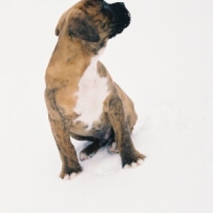 Snow Baby!