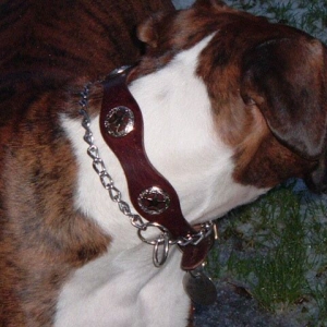 Deeg's new collar