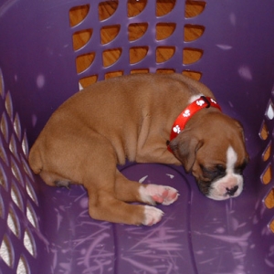 So Sleepy