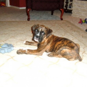 Bama Belle - Our Baby Girl