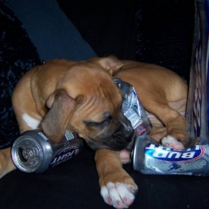 passed out