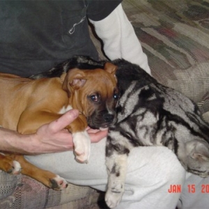 Don't show this to the other boxers!
