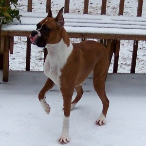 What is all this white stuff around me?
