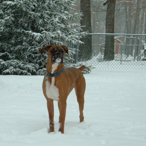 First Snow