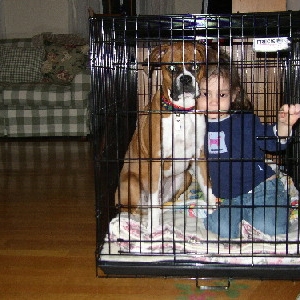 There's something in my crate...