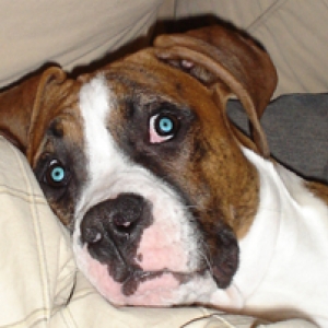 playing with adobe photo shop