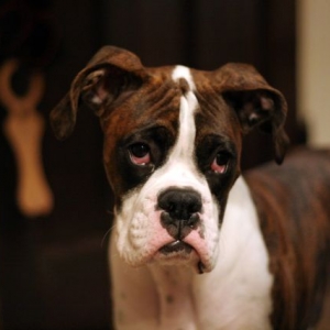 Why are my eyes red?