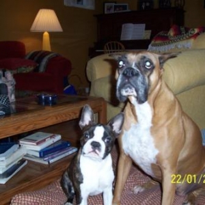 look at us!