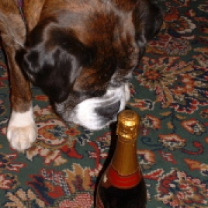 NEVER TOUCH THE STUFF.....