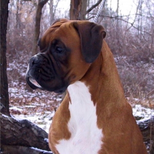 Ruby 2 yrs