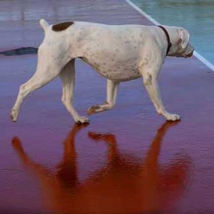 Reflection