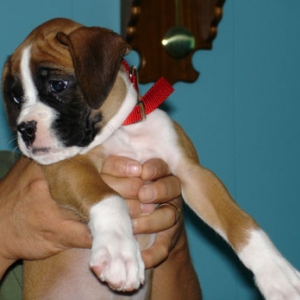 Bonnie... the newest family member