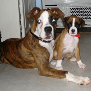 Buster and Bonnie