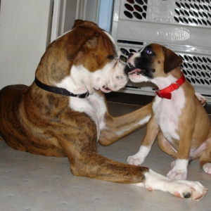 Bonnie meets Buster