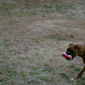 Its His can