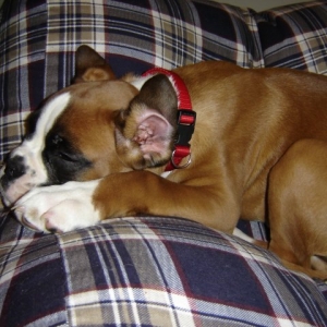Nap