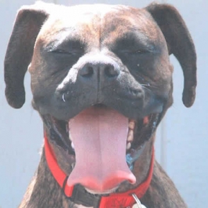 Smiling for the Camera