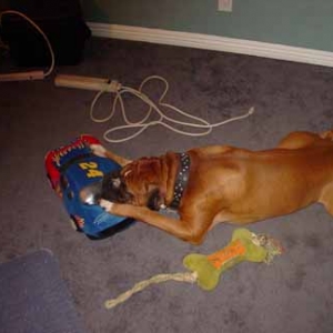 deegan and his pillow