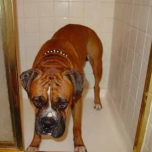 bath time