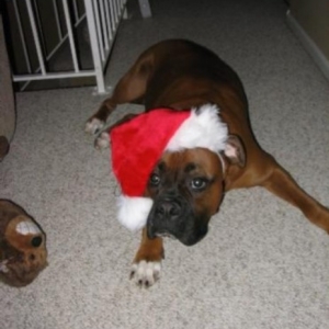 Santa hat.