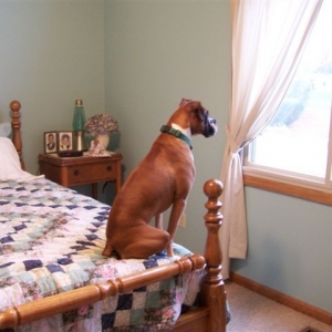 Daisy's Spot