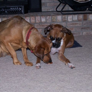 Daisy & P.K.