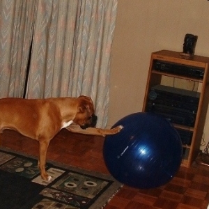 PLAYINGBALL