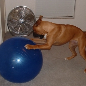 KILLBALL
