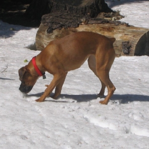 Where the heck did that white, cold ball go?